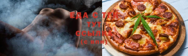 гидра Богородск