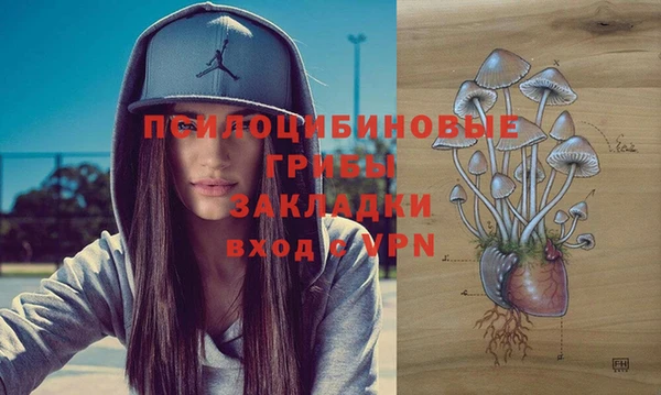 мяу мяу мука Волоколамск