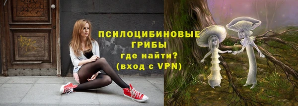 a pvp Нея