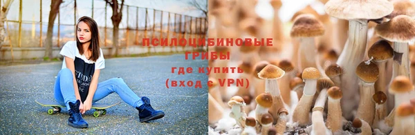 мескалин Бежецк